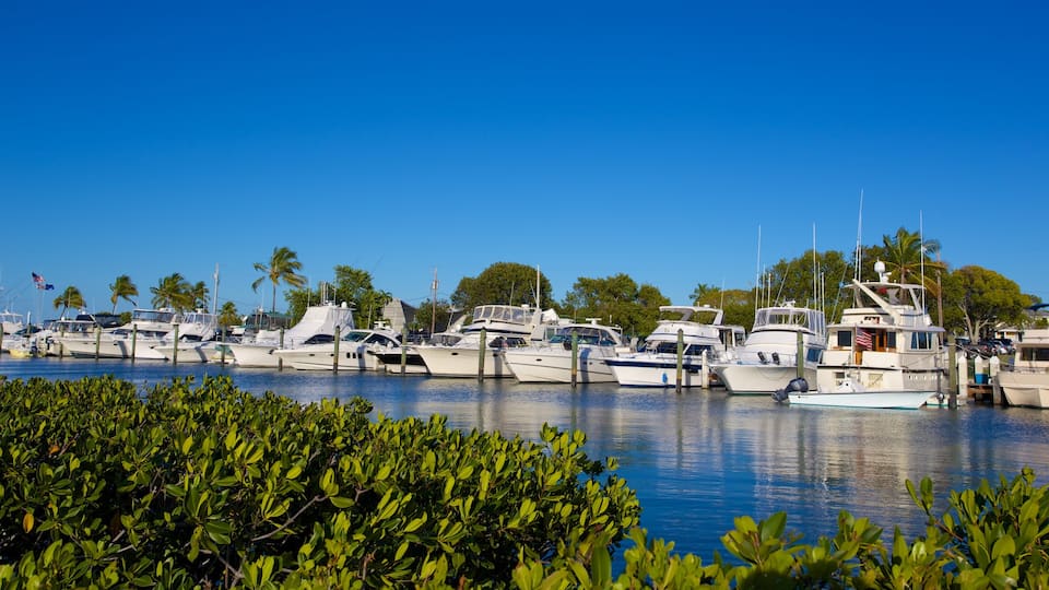 Islamorada caracterizando mangues, uma marina e paisagens litorâneas