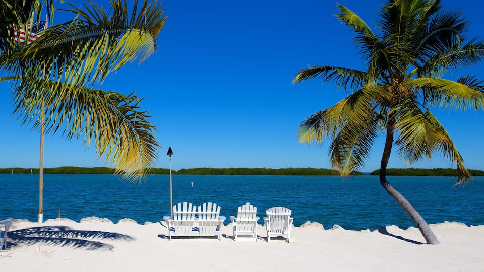 Islamorada que inclui cenas tropicais, uma praia e paisagens litorâneas