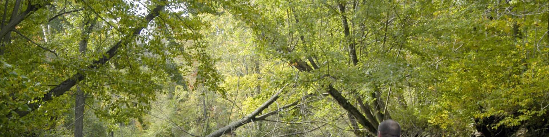 Canton showing forest scenes, kayaking or canoeing and a river or creek