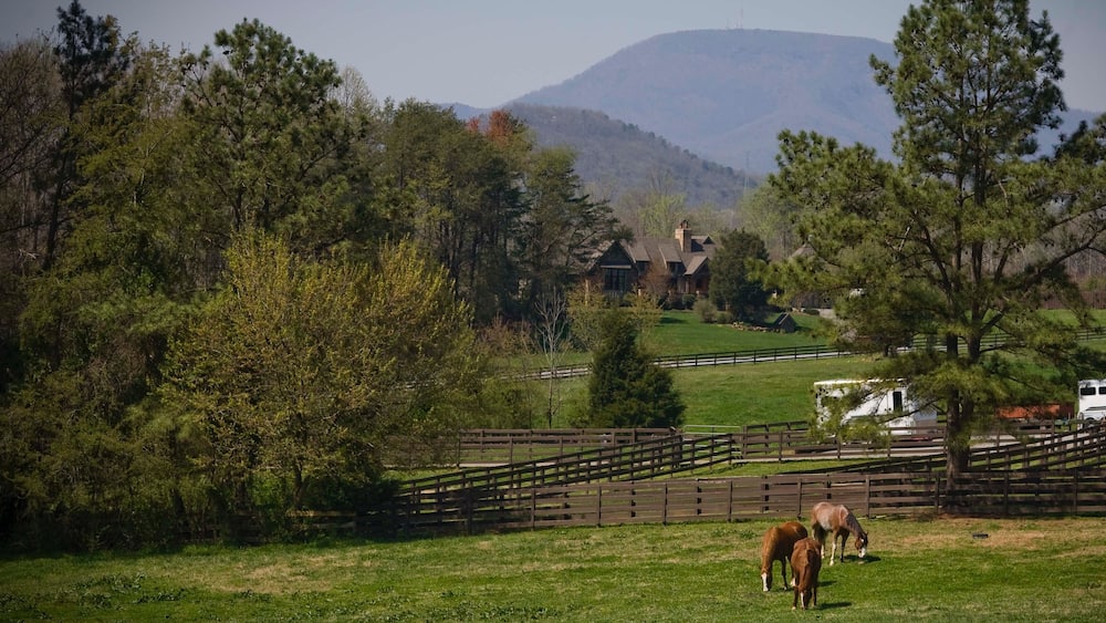 Spartanburg welches beinhaltet Haus, Landtiere und Farmland
