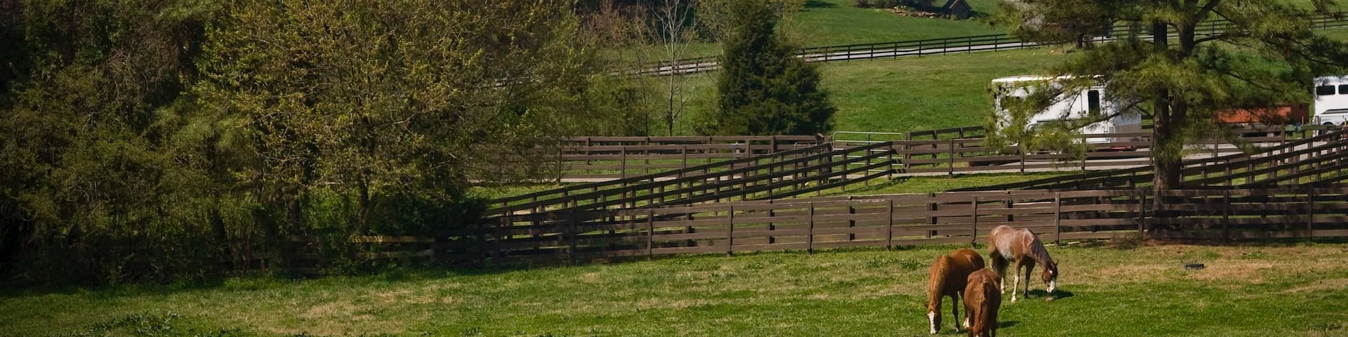 Spartanburg showing a house, land animals and farmland