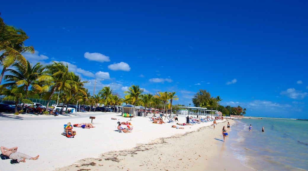 Higgs Beach mettant en vedette scènes tropicales et plage aussi bien que important groupe de personnes