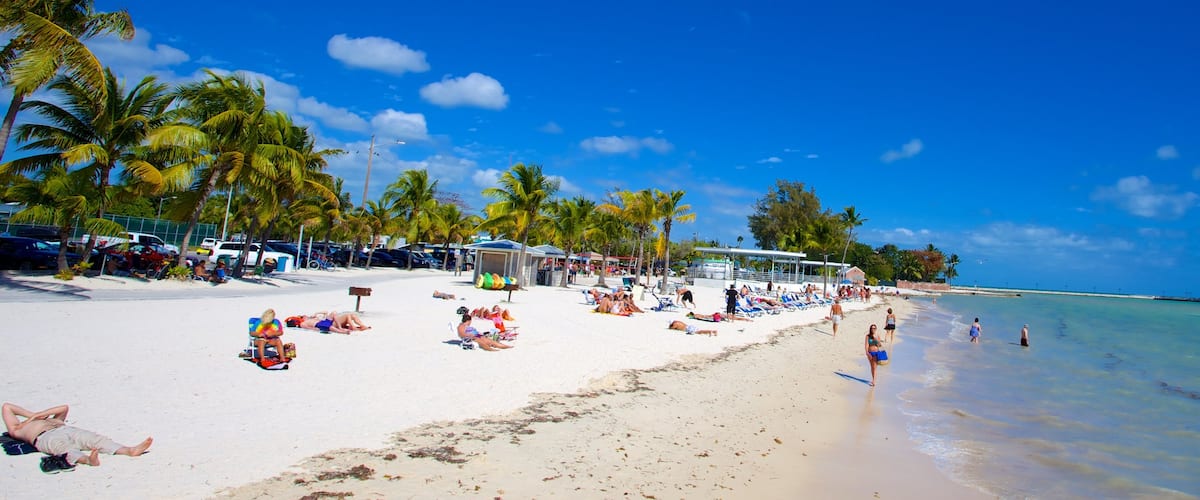 Higgs Beach showing a beach and tropical scenes as well as a large group of people