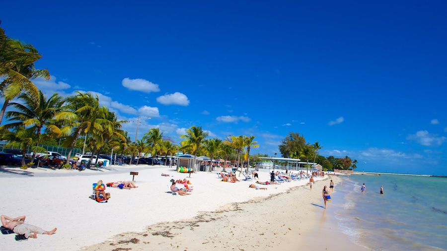 Playa de Higgs que incluye escenas tropicales y una playa de arena y también un gran grupo de personas