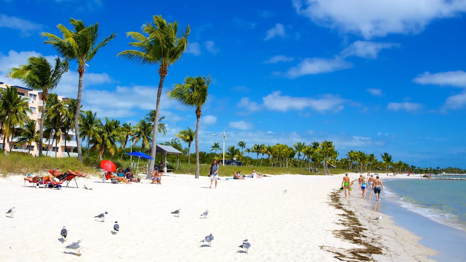 Smathers Beach featuring tropical scenes, a beach and bird life
