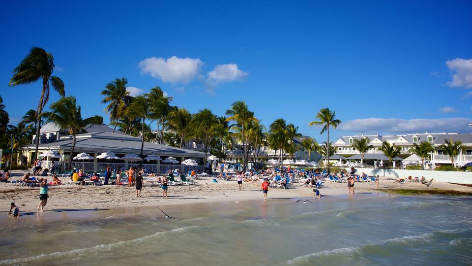 South Beach which includes a beach and a coastal town as well as a large group of people