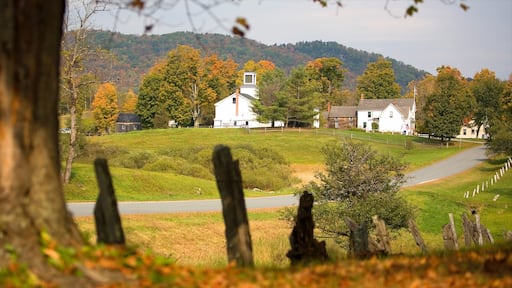 Vermont ofreciendo jardín y una pequeña ciudad o aldea