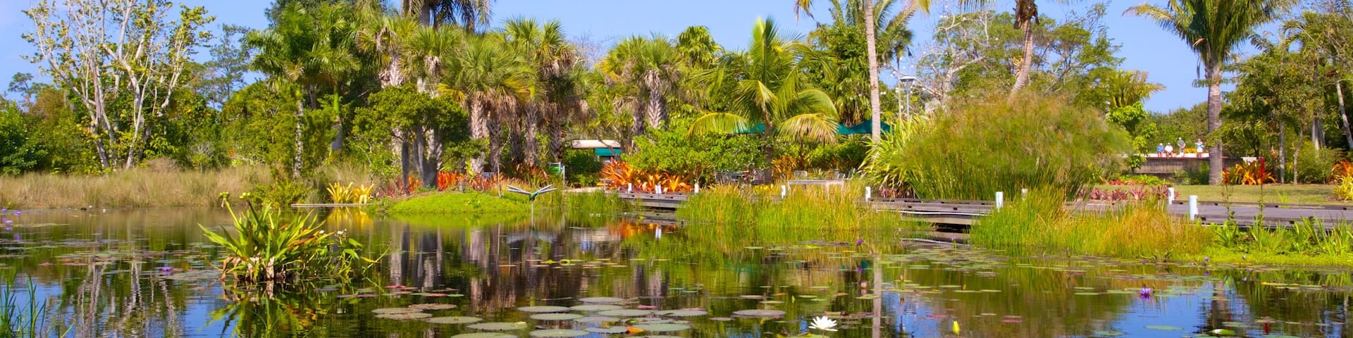 Jardín Botánico de Naples ofreciendo un jardín y un estanque