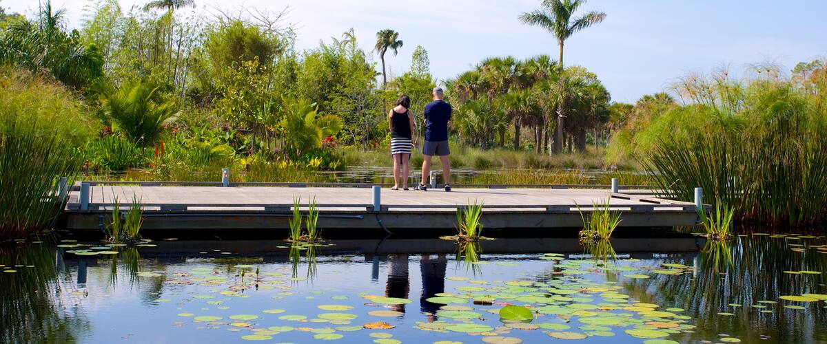 Naples Botanical Garden showing a garden, a pond and a bridge