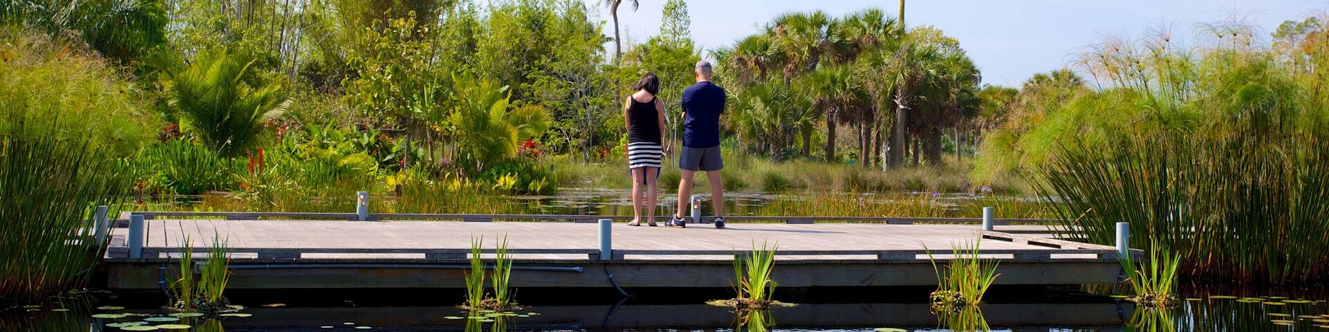 Naples Botanical Garden showing a garden, a pond and a bridge