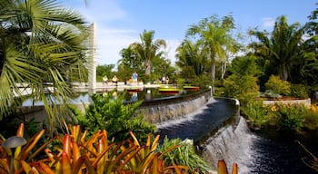 Naples Botanical Garden showing a garden and a pond