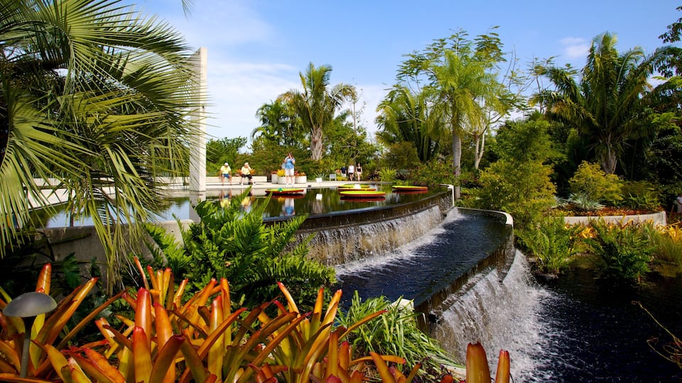 Jardín Botánico de Naples ofreciendo un estanque y un parque