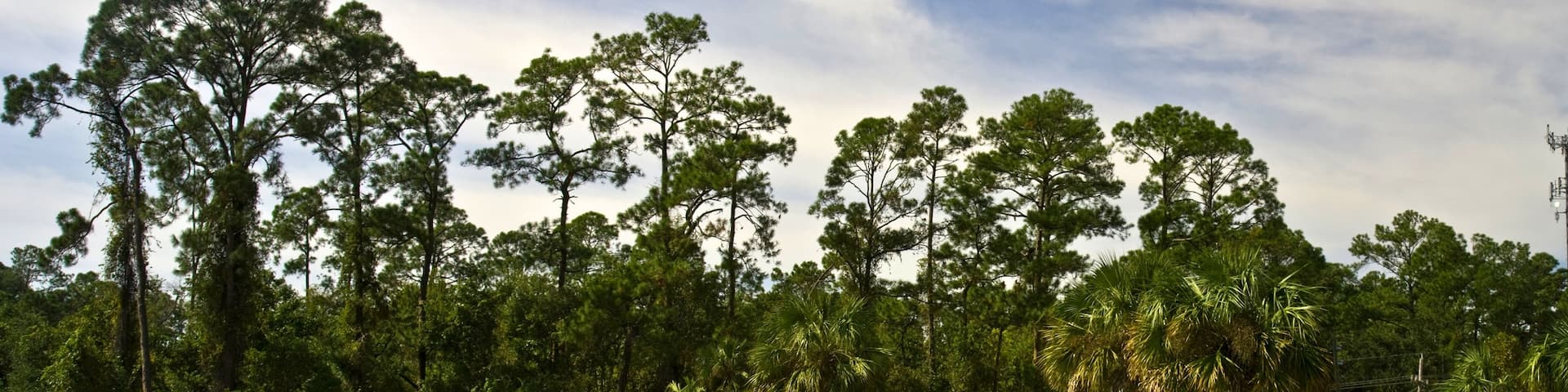Jacksonville Zoo and Gardens showing zoo animals