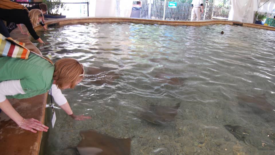 Zoológico y jardines de Jacksonville que incluye vida marina y animales del zoológico