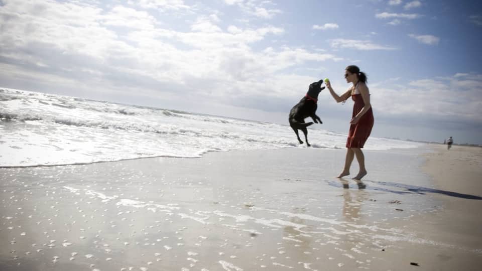 Kingsley Plantation ofreciendo una playa de arena y animales tiernos y también una mujer