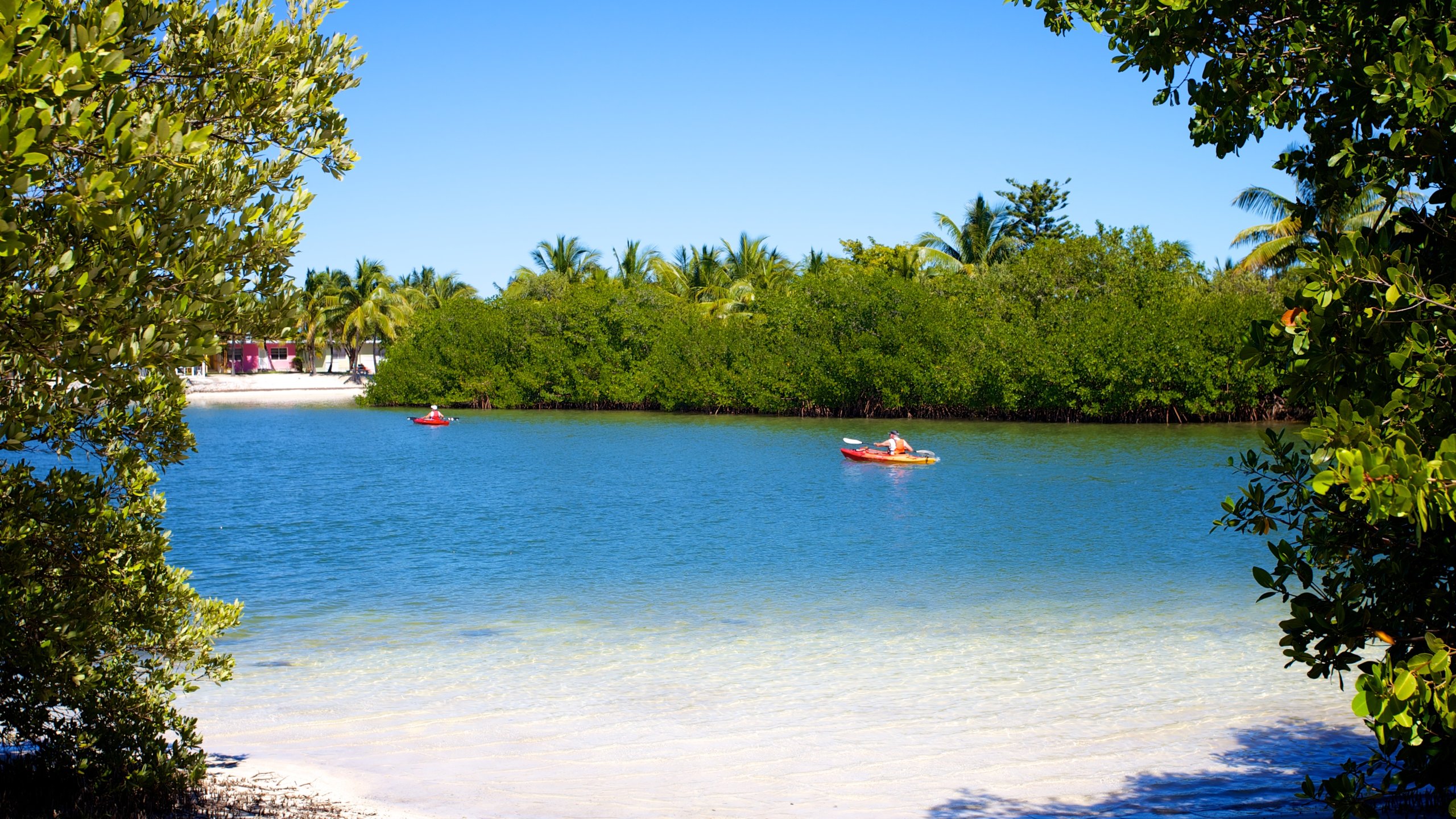 Parque estatal Curry Hammock mostrando piragüismo y una playa de arena