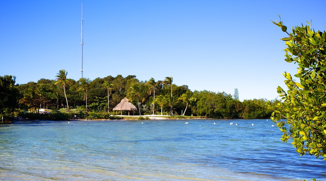 Founders Park which includes general coastal views