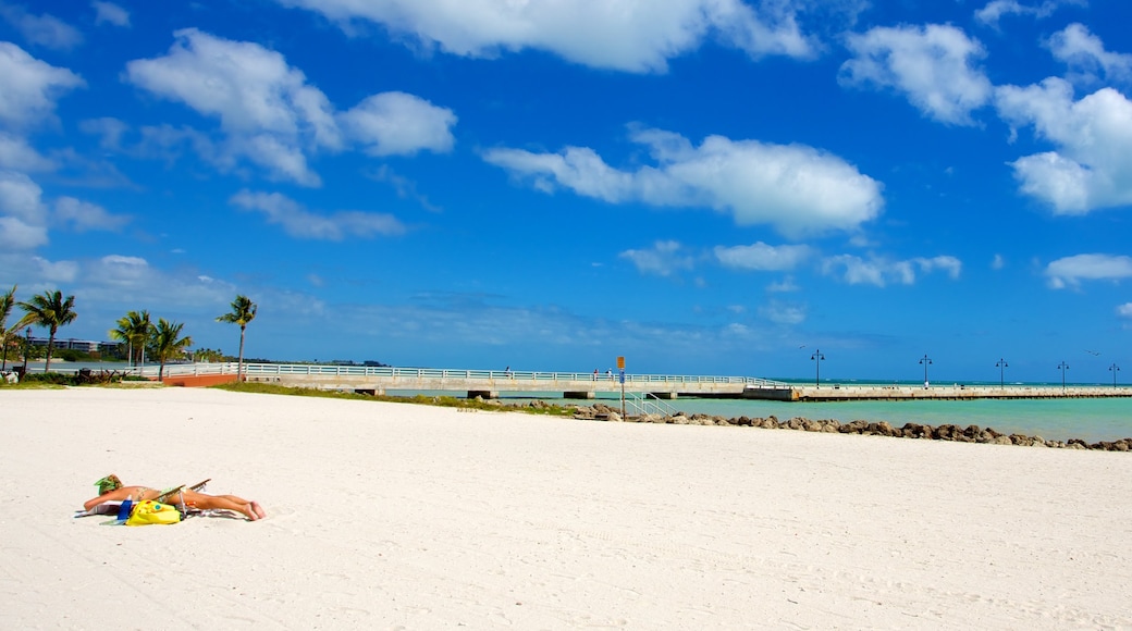 Higgs Beach which includes a sandy beach as well as an individual female