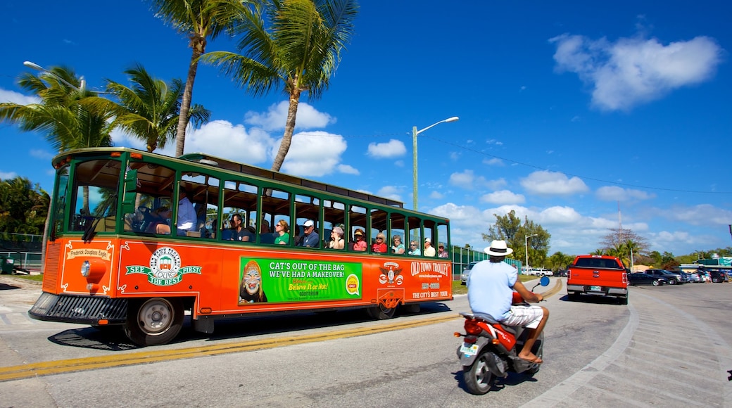 Higgs Beach featuring street scenes and touring