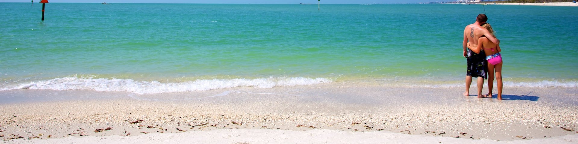 Delnor-Wiggins Pass State Park showing a sandy beach and general coastal views as well as a couple