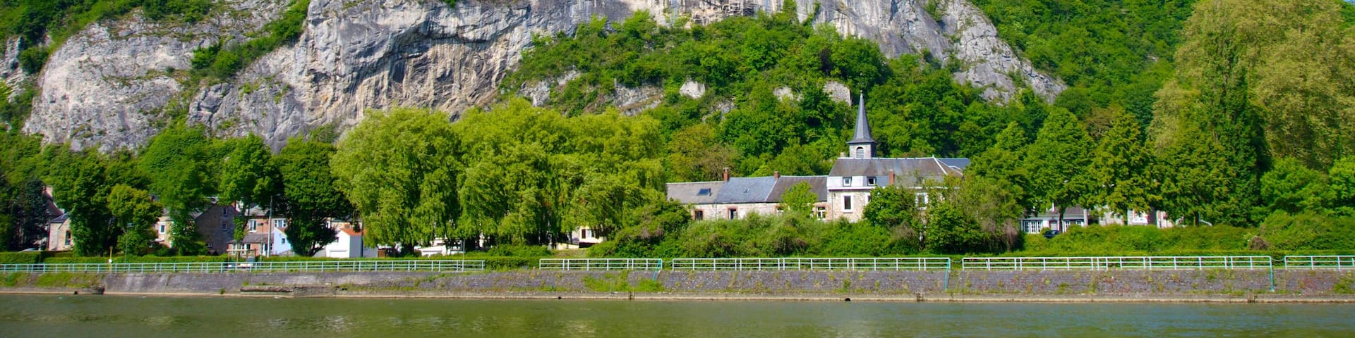 Dinant mit einem Fluss oder Bach, Wälder und Berge