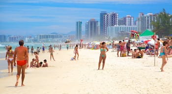 Barra da Tijuca featuring a beach as well as a large group of people