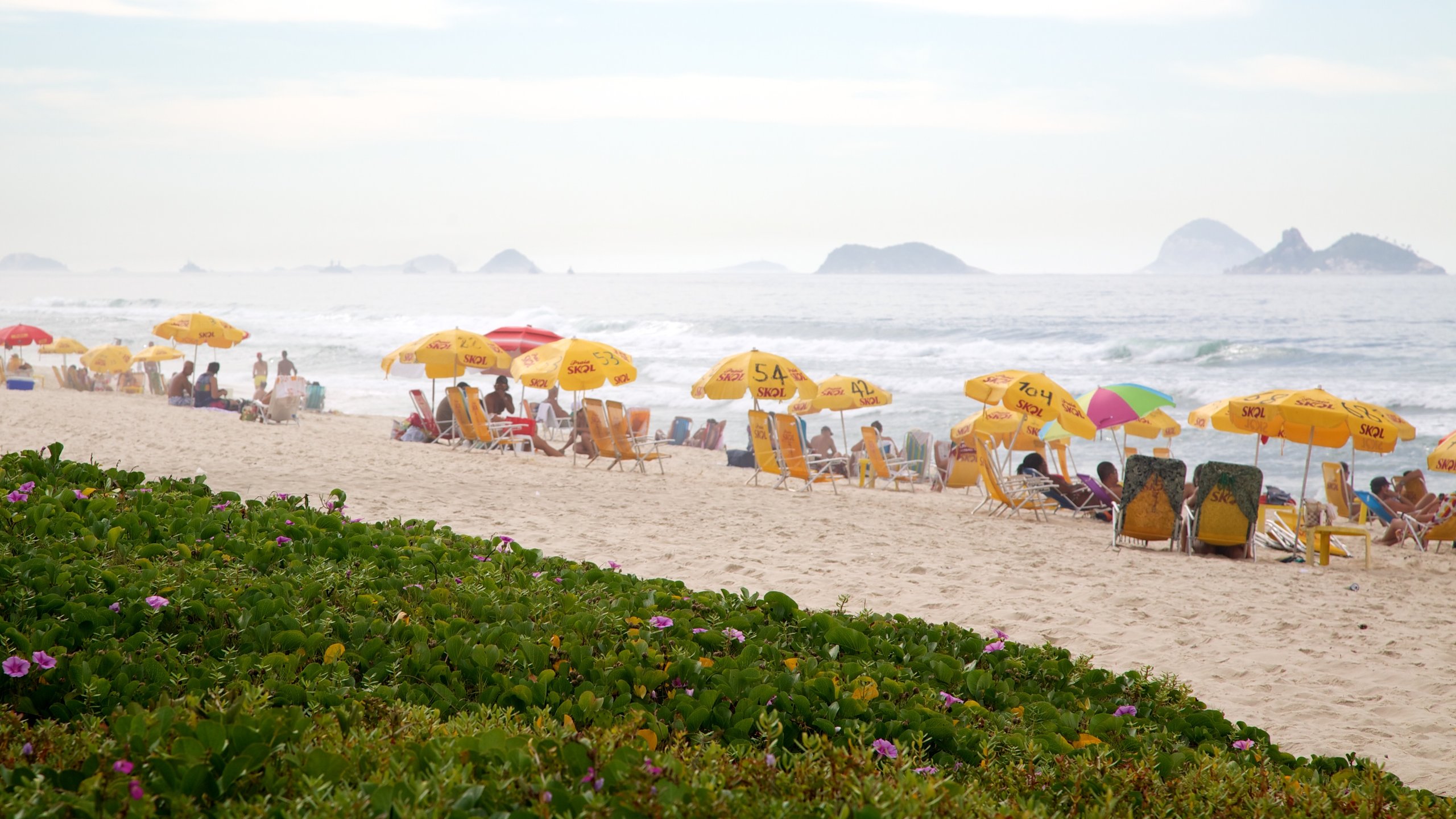 Barra da Tijuca showing a garden and a beach