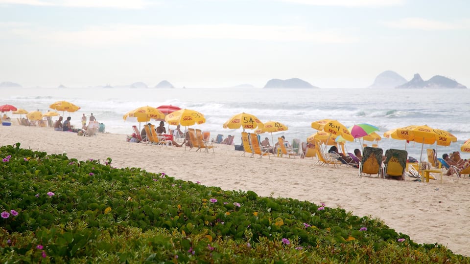 Barra da Tijuca showing a garden and a sandy beach