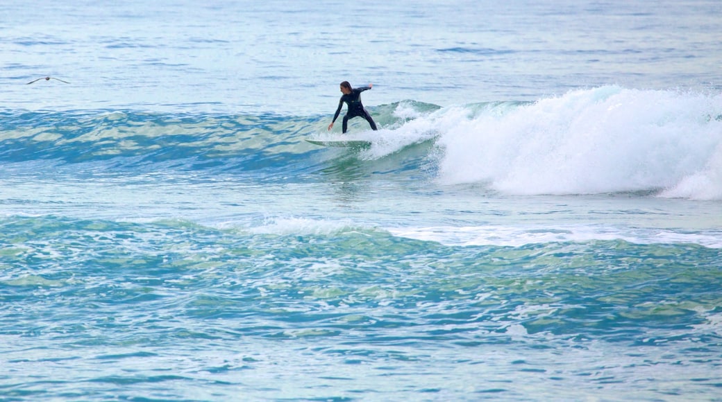 Barra da Tijuca showing surfing and waves