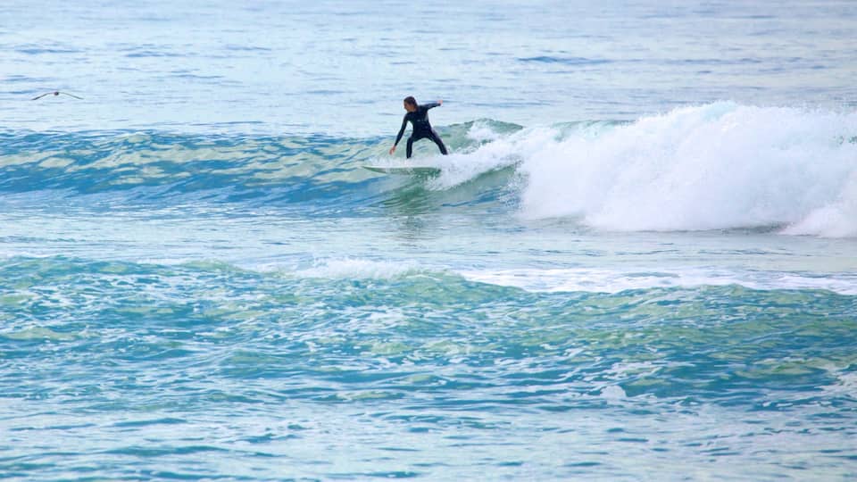 Barra da Tijuca featuring waves and surfing