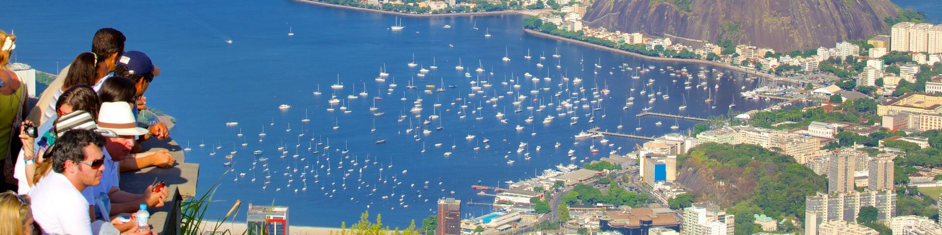 Guanabara Bay showing general coastal views and a coastal town