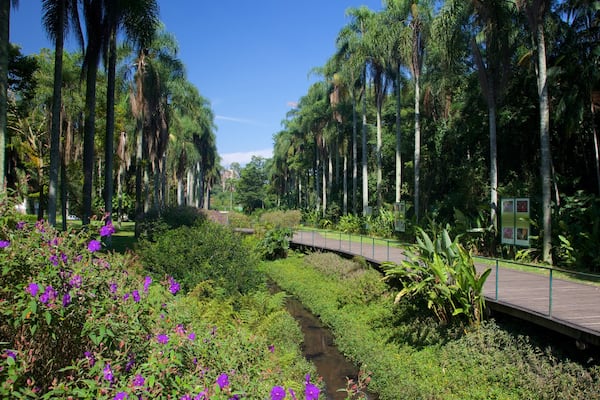 Jardim Botânico de São Paulo das einen Garten