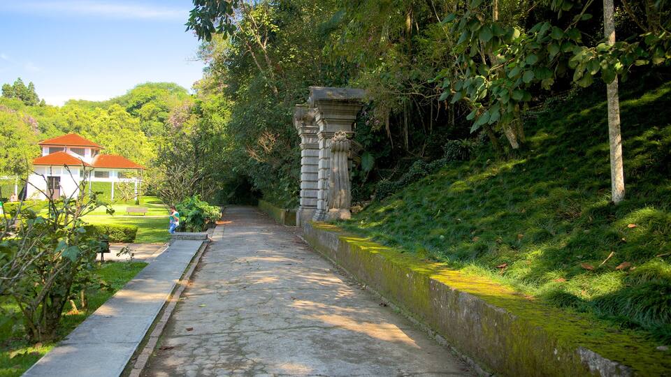 Jardín botánico de Sao Paulo