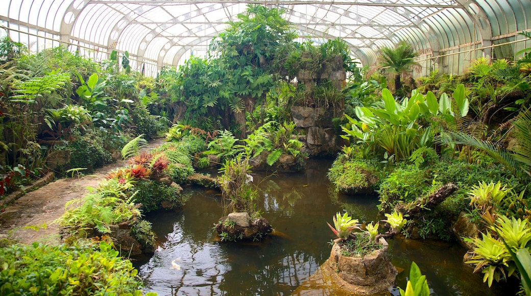 Sao Paulo Botanical Garden showing a garden