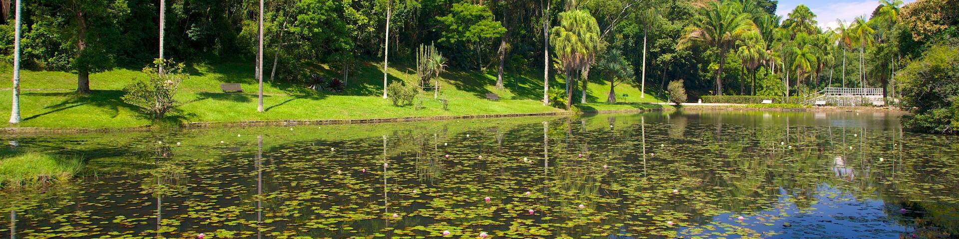 Sao Paulo Botanical Garden featuring a pond