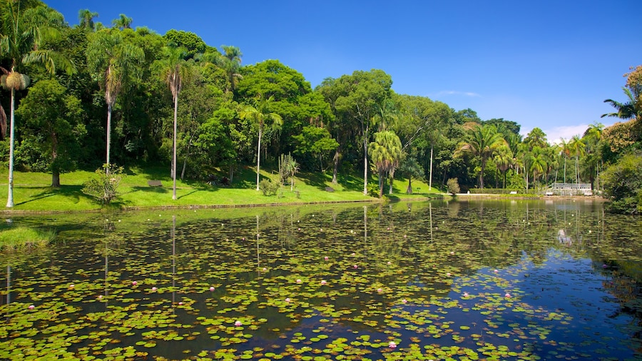 São Paulo Botaniske Have som viser en dam