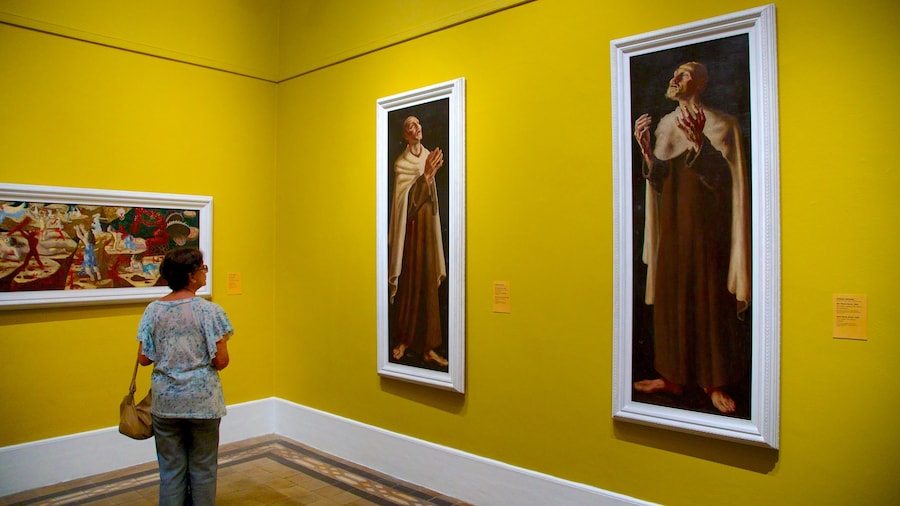Museo nacional de bellas artes ofreciendo arte y vistas interiores