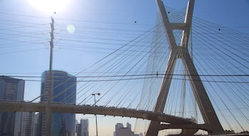 Octavio Frias de Oliveira Bridge featuring a city and modern architecture