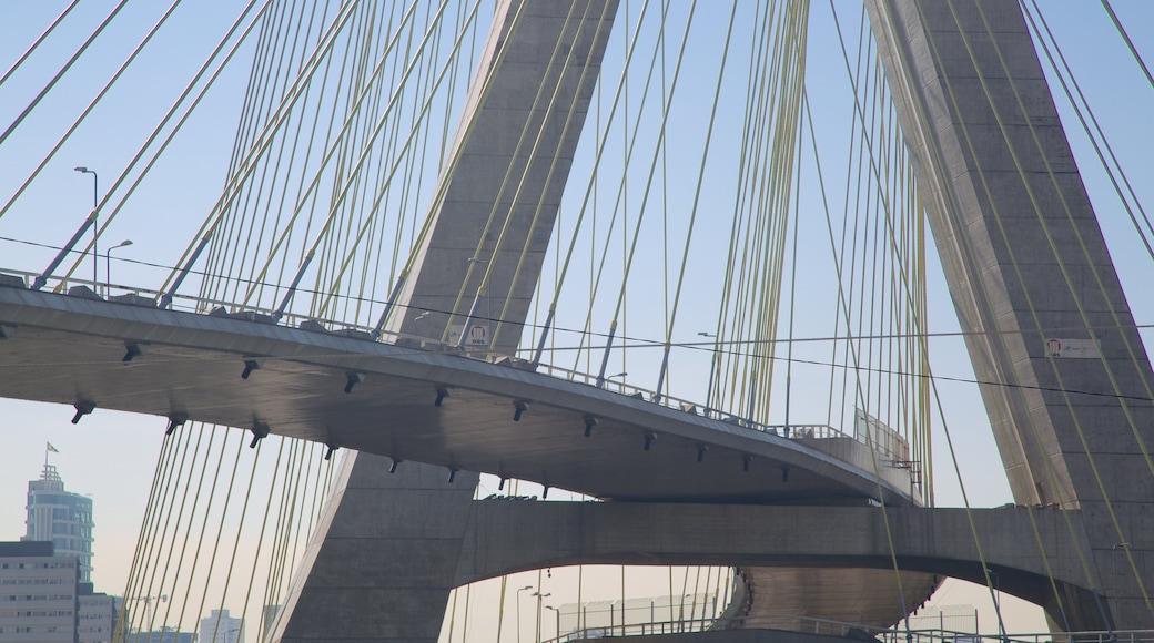 Puente Octavio Frias de Oliveira mostrando arquitectura moderna