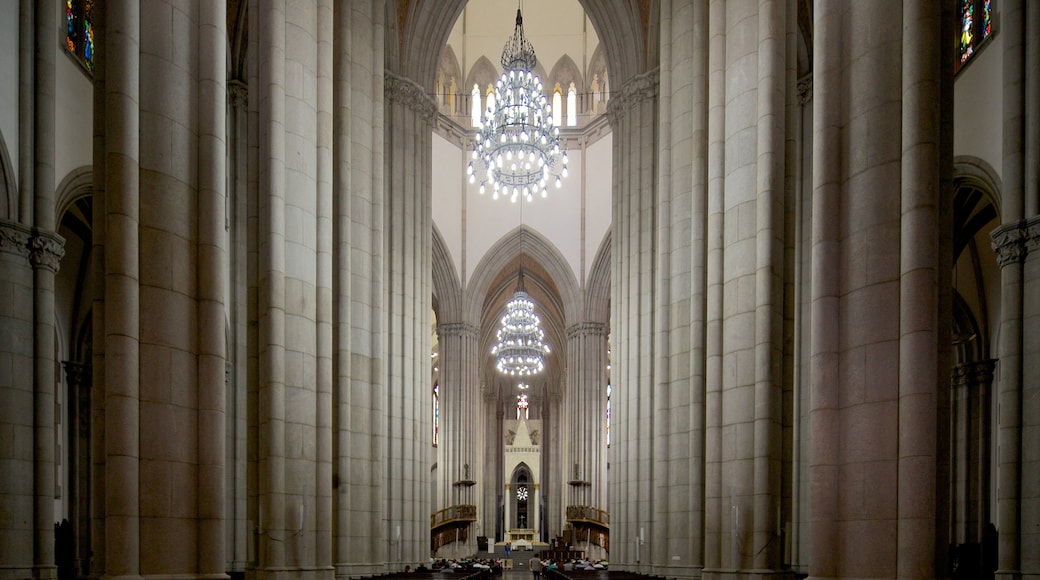 Sao Paulo-katedralen som visar historisk arkitektur, religiösa aspekter och interiörer