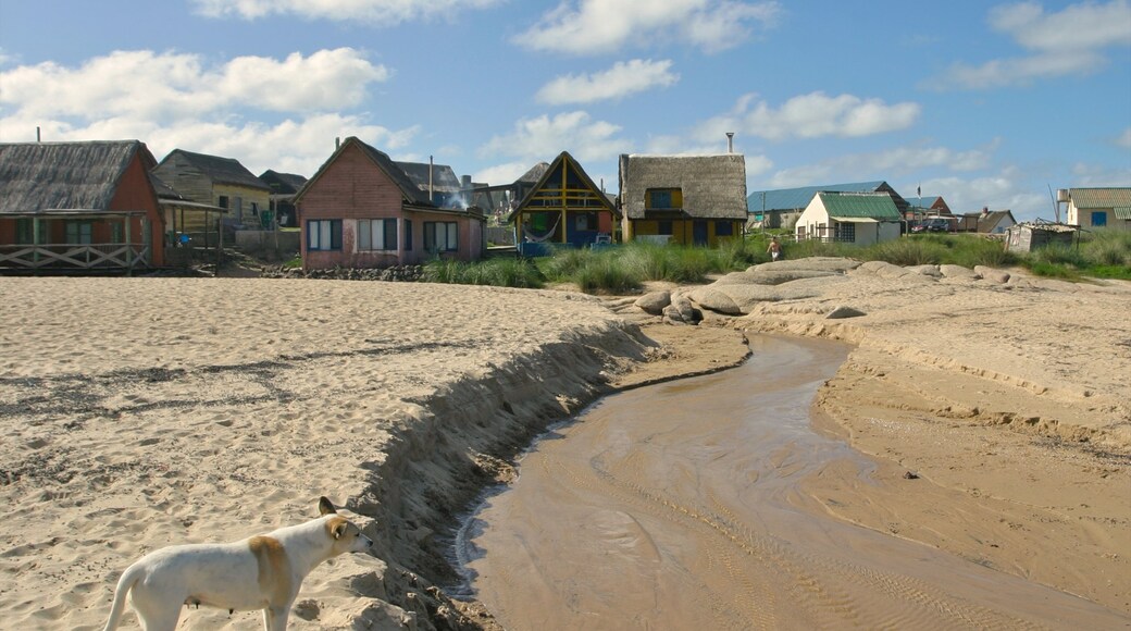 Punta del Diablo featuring a small town or village