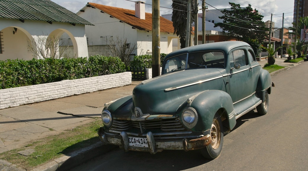 La Paloma showing street scenes and a house