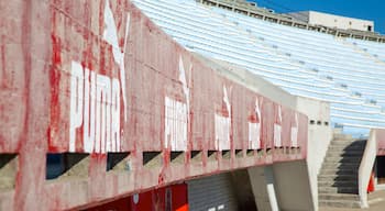 Centenario Stadium