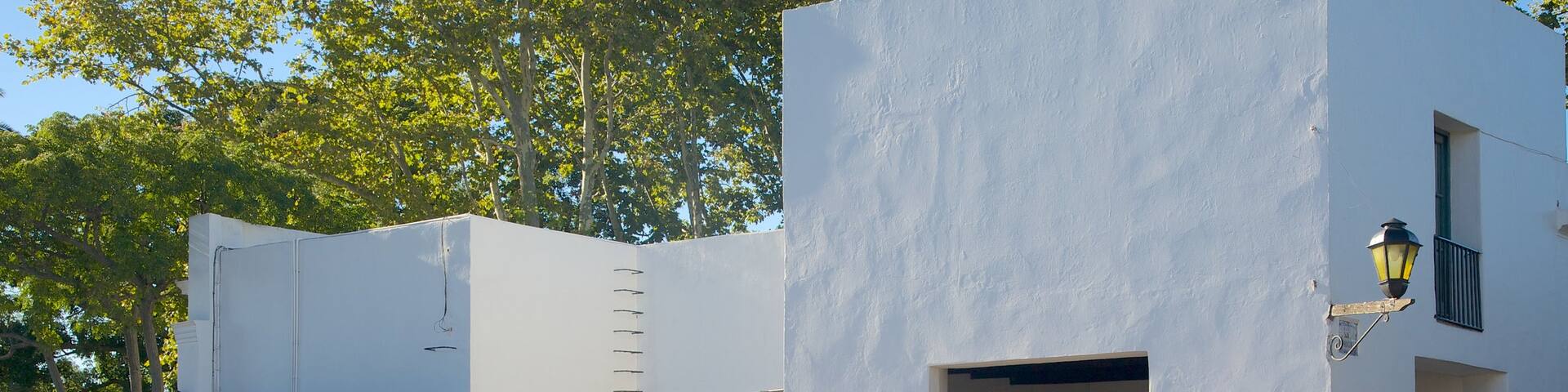 Porton de Campo showing a house as well as a couple