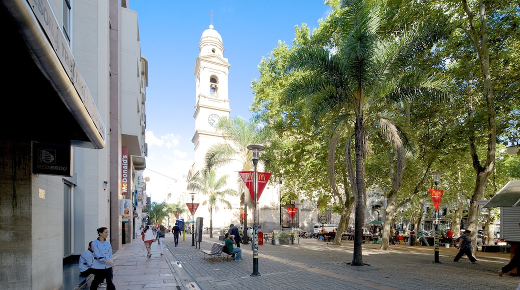 Catedral de Montevideo que inclui arquitetura de patrimônio, uma cidade e cenas de rua