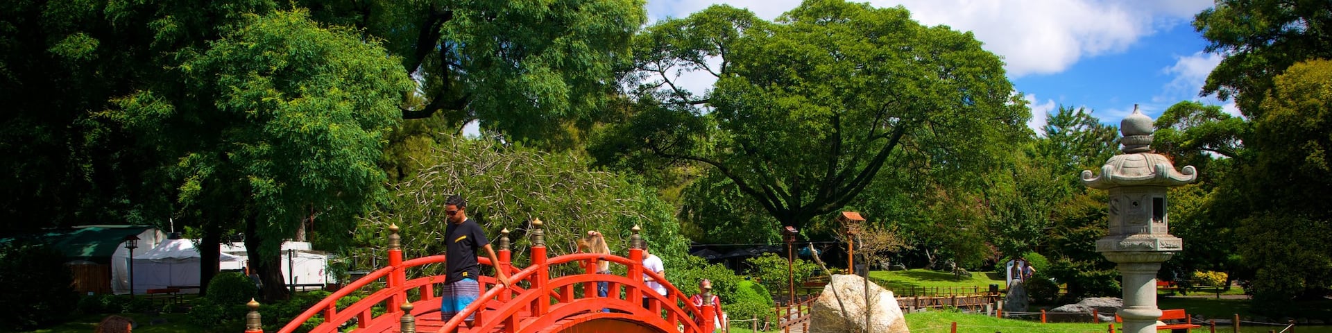 Japanese Garden showing a pond and a park