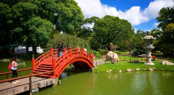 Japanese Garden showing a pond and a park