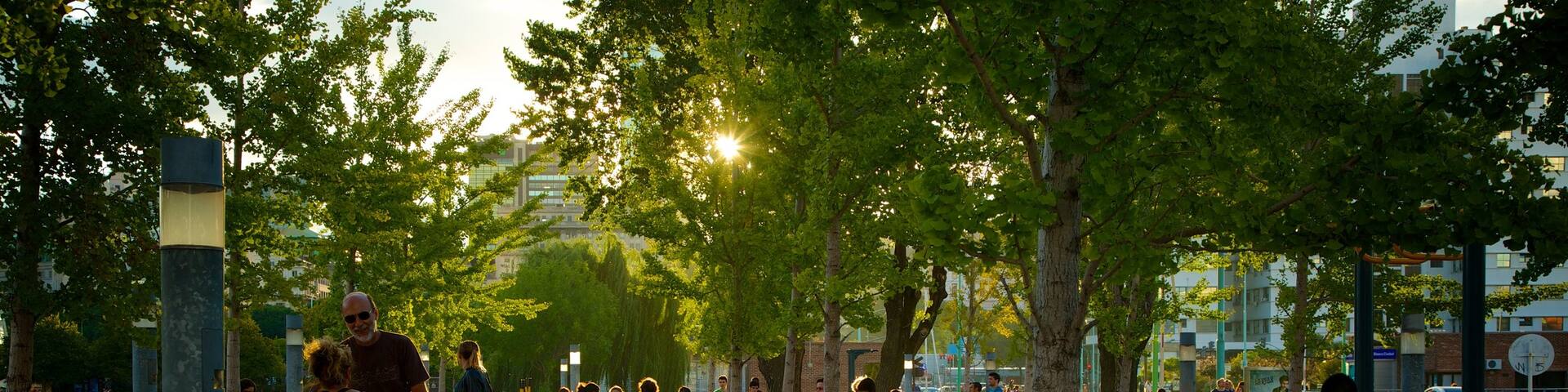 Puerto Madero welches beinhaltet Sonnenuntergang sowie große Menschengruppe