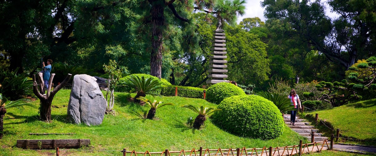 Japanese Garden featuring a park and a pond