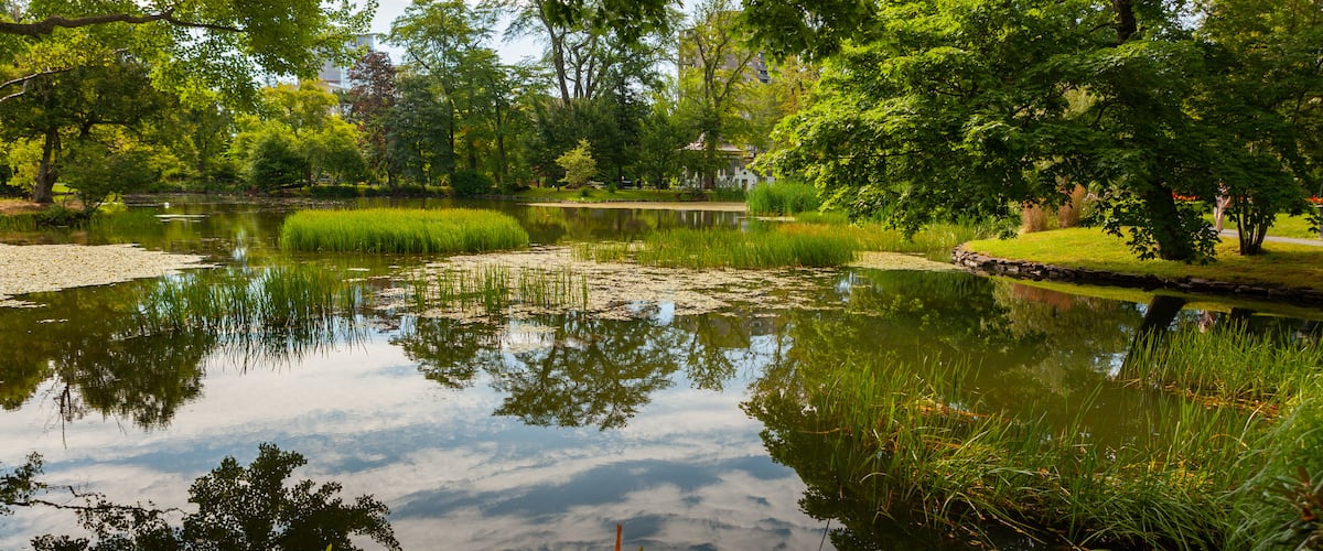 Halifax Public Gardens showing a pond and a park